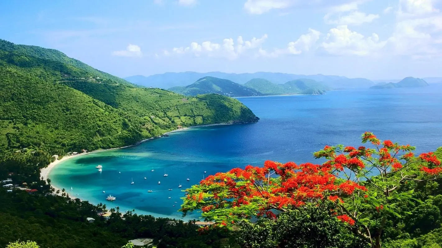 高效新型